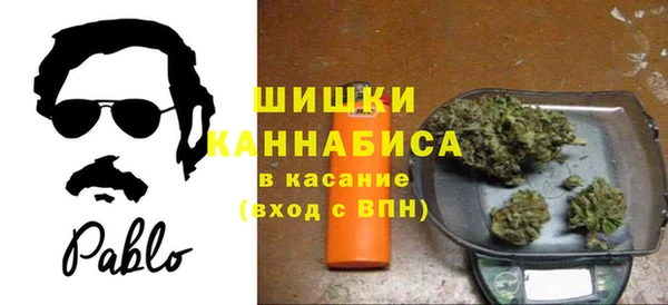 Альфа ПВП Богородск
