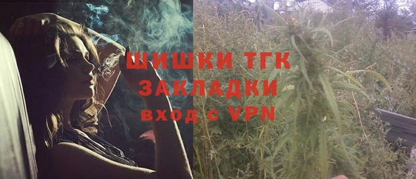 крисы Богданович