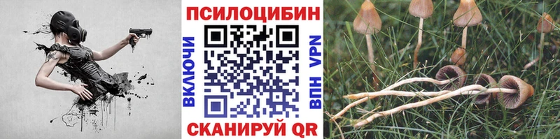 Псилоцибиновые грибы Psilocybine cubensis  Мензелинск 